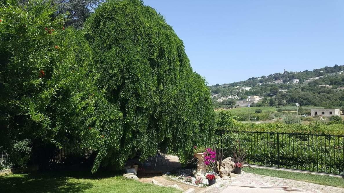 Villa Barone Selva Di Fasano Exterior foto